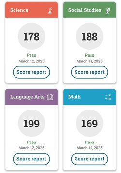 Luis's GD score card: Science 178. Social Studies 188. Language Arts 199. Math 169.